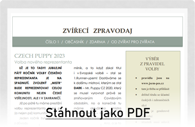 Stáhnout jako PDF