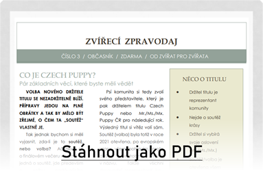 Stáhnout jako PDF