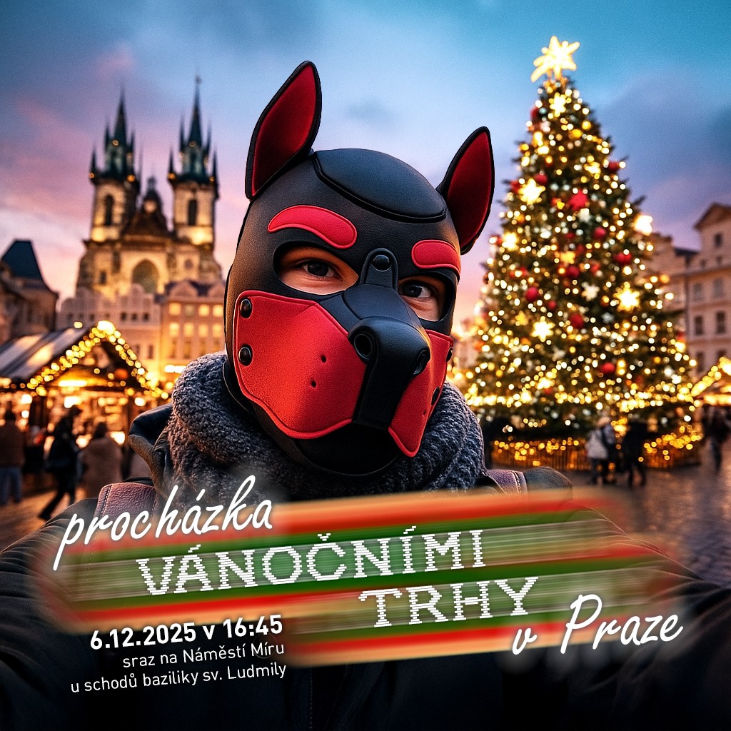 Procházka pražskými vánočními trhy - 2025-12-06T16:45 - Náměstí Míru (u schodů baziliky sv. Ludmily)