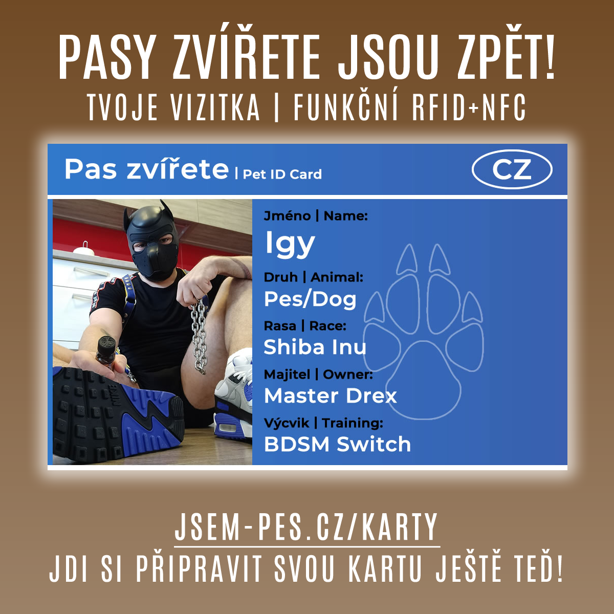 Pasy zvířete jsou zpět! - Jdi si připravit svou kartu ještě teď!